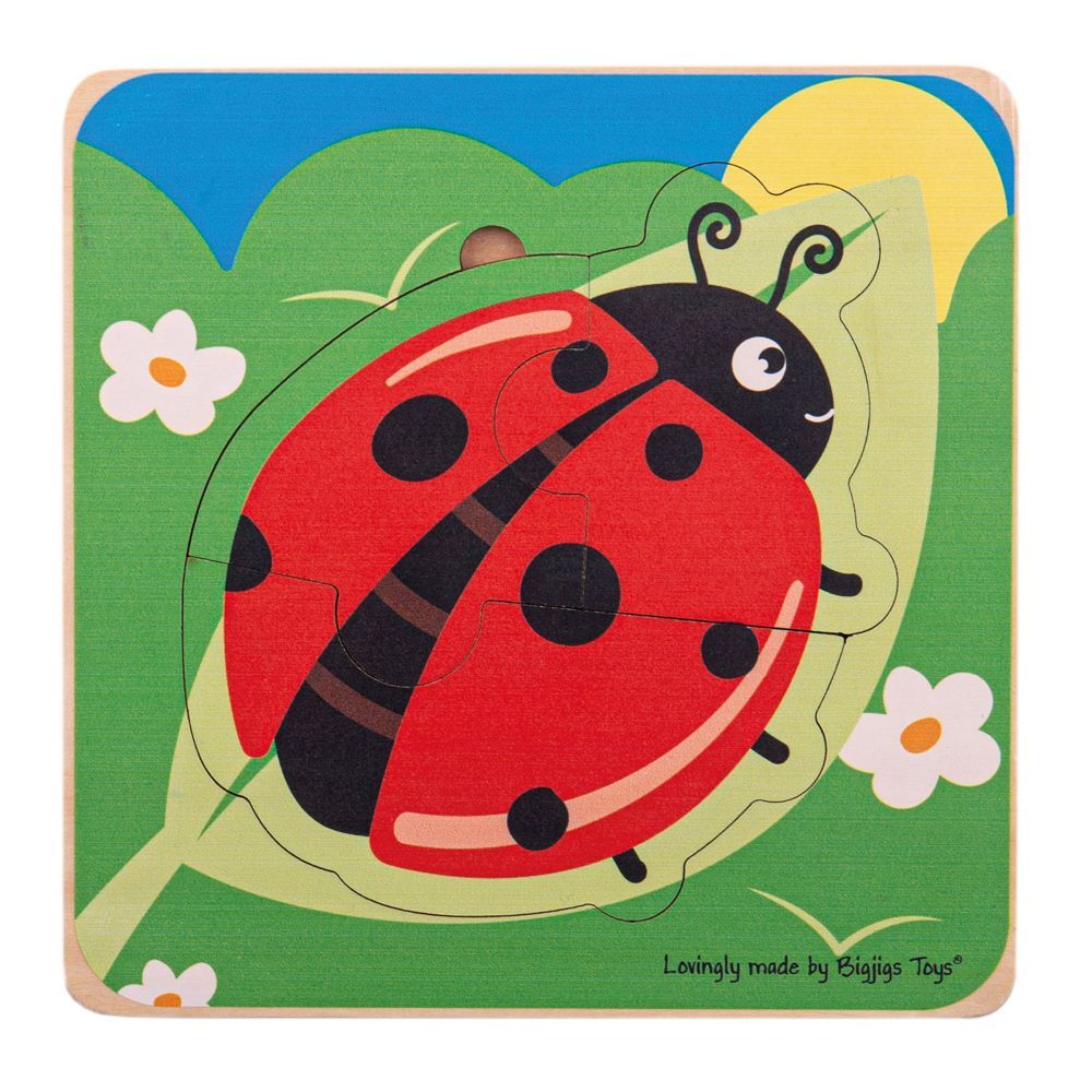 E-shop Bigjigs Toys Vkladacie puzzle Životný cyklus lienky