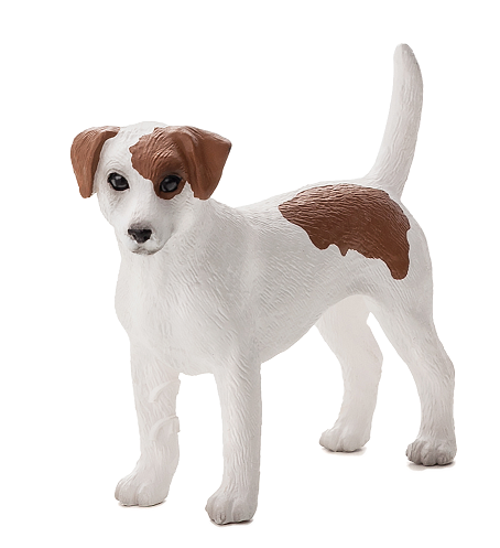 E-shop Mojo Jack Russell teriér