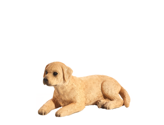 E-shop Mojo Labrador šteňa