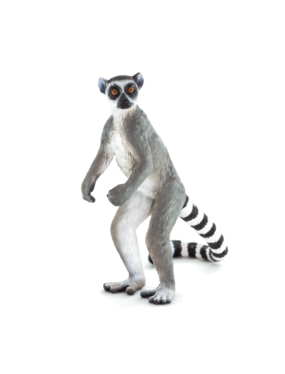 E-shop Mojo Lemur kata