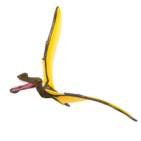 E-shop Mojo Tropeognathus