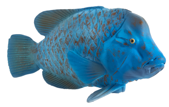 E-shop Mojo Groper modrý