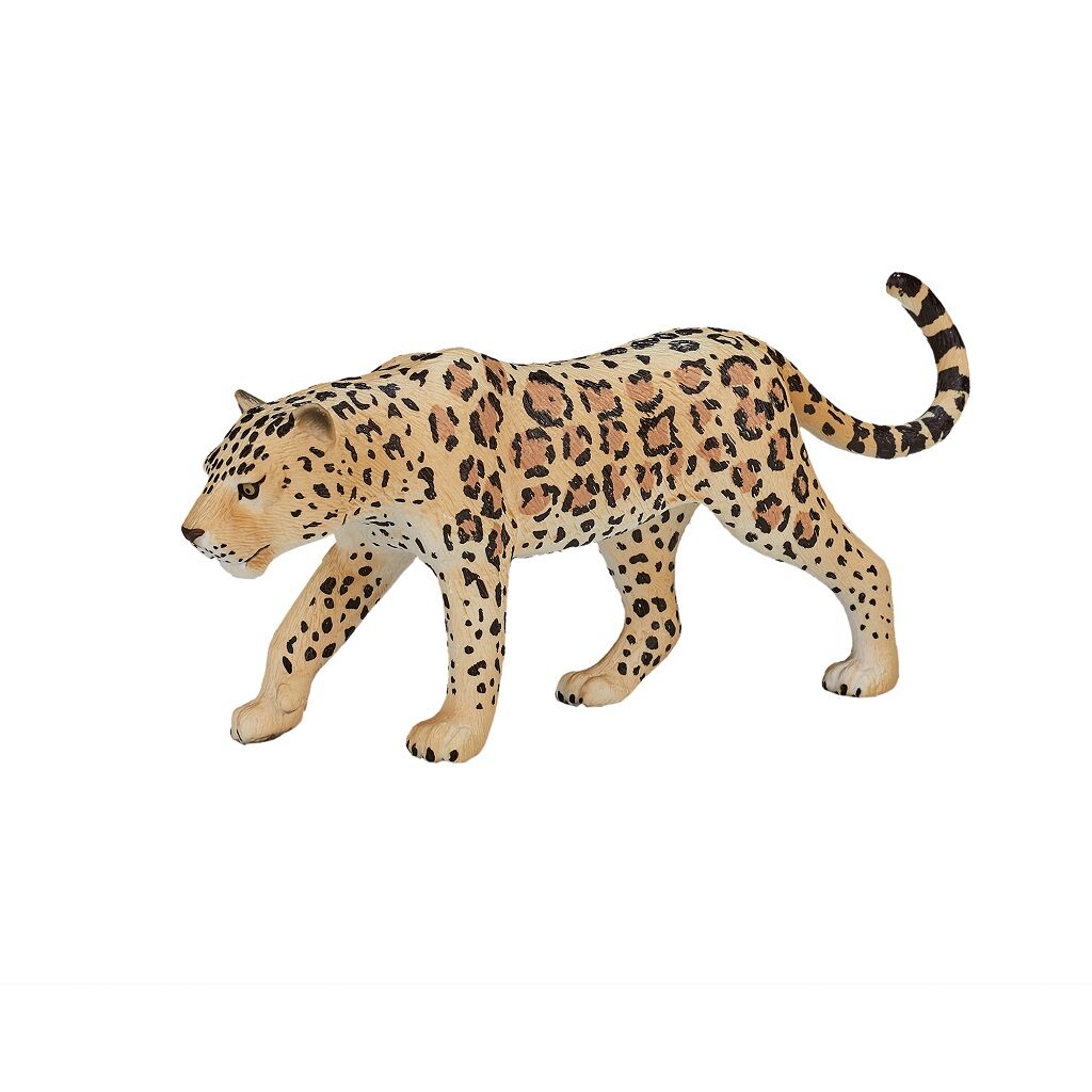 E-shop Mojo Leopard