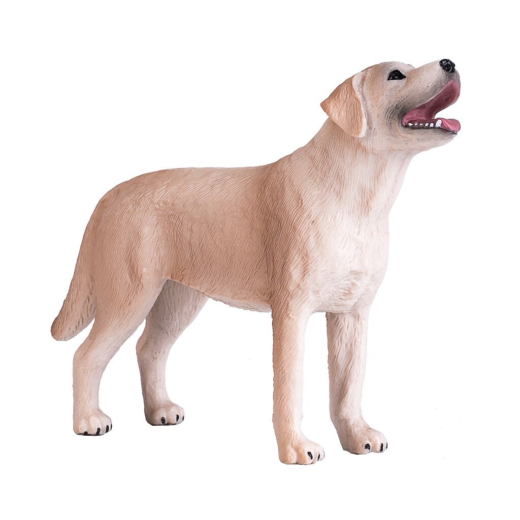 E-shop Mojo Labrador