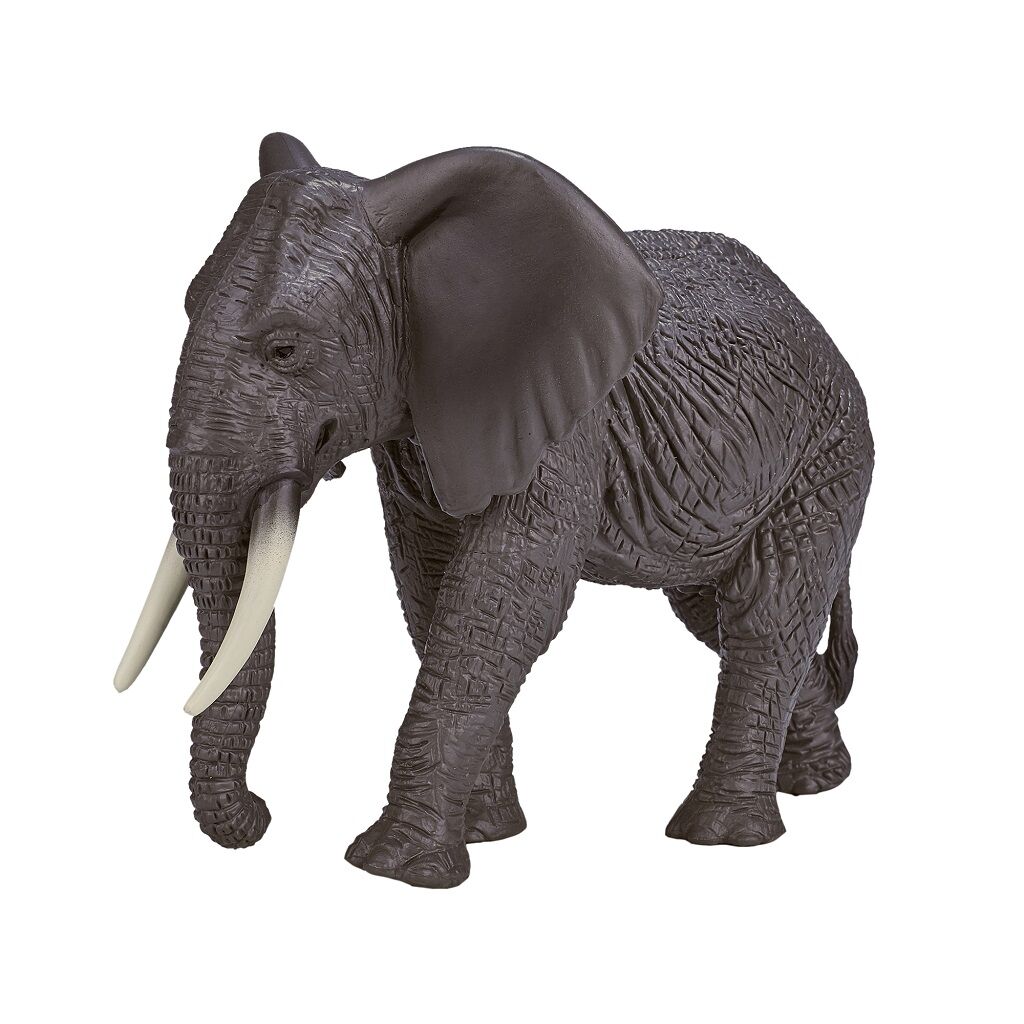 E-shop Mojo Slon africký