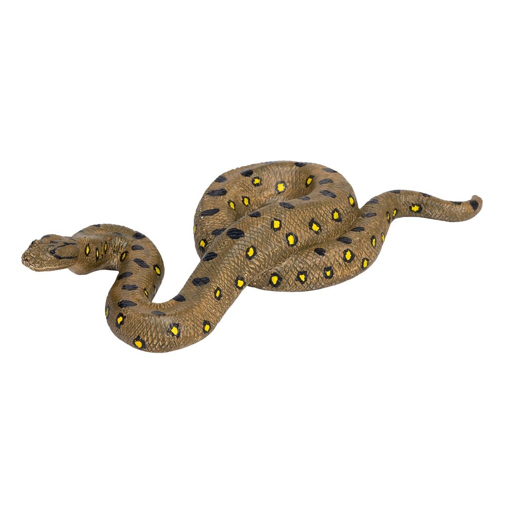 E-shop Mojo Anaconda