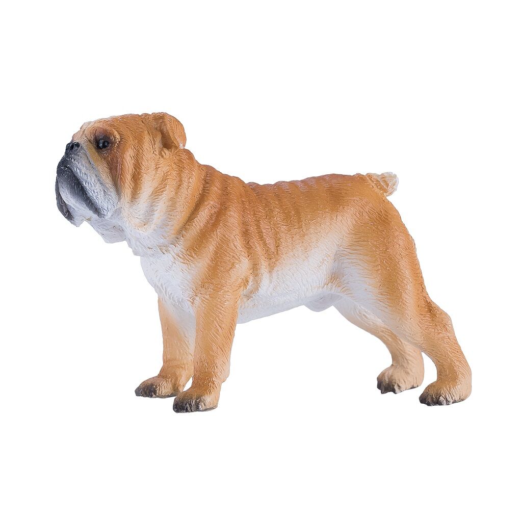 E-shop Mojo Anglický buldog