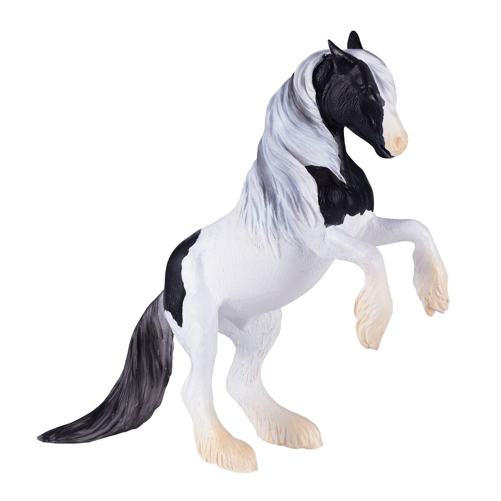 E-shop Mojo Žrebec Gypsy Vanner
