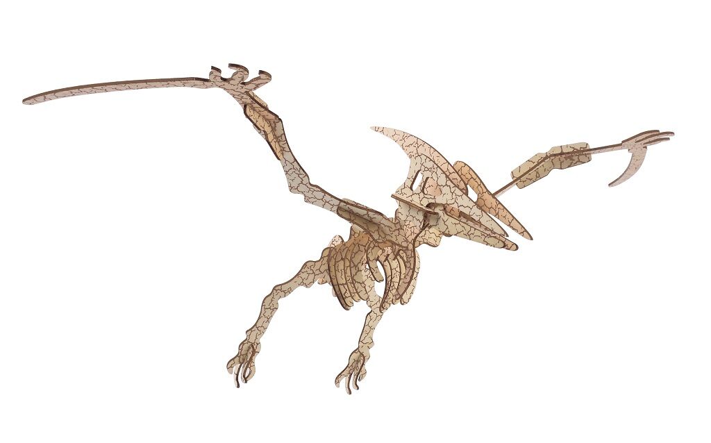 E-shop Woodcraft Drevené 3D puzzle Pterosaur