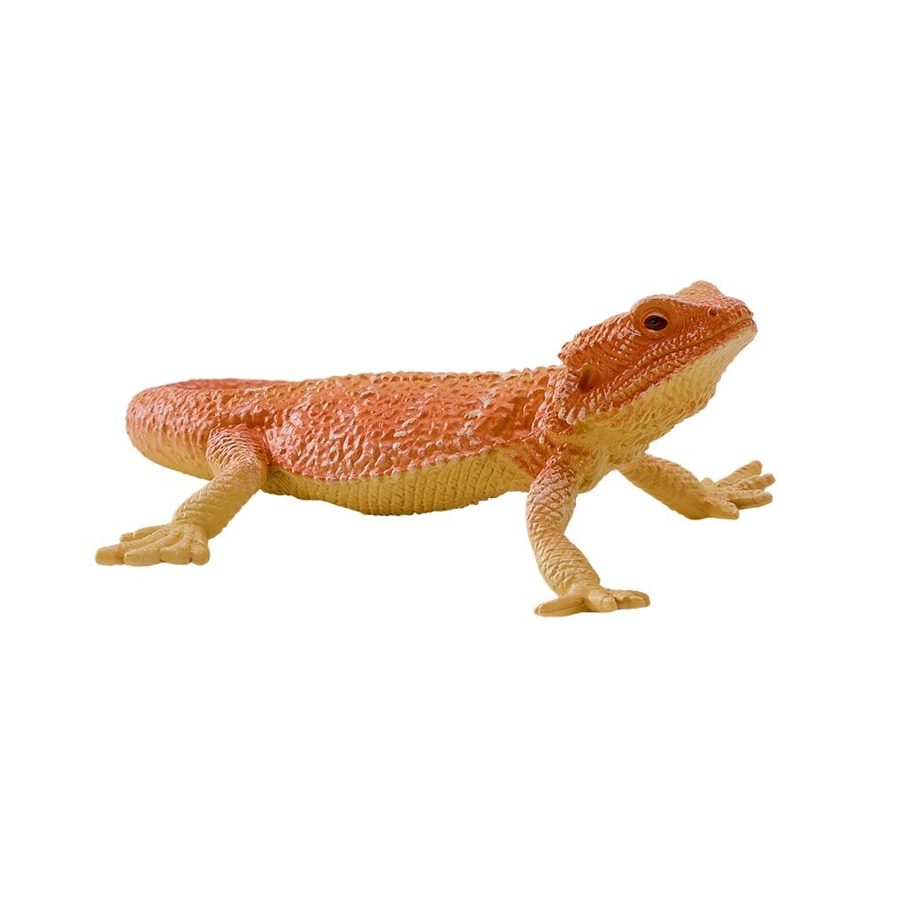 E-shop Mojo Agama