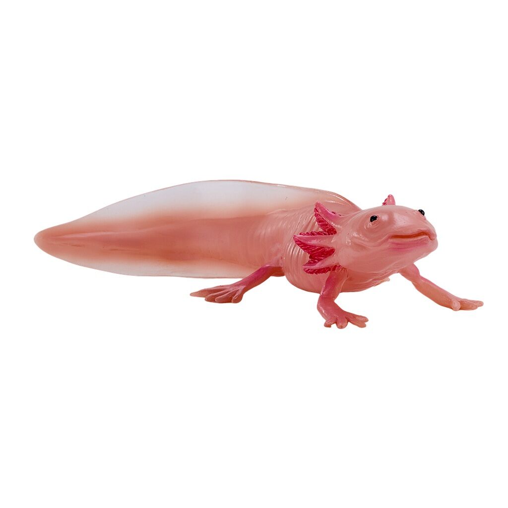 E-shop Mojo Axolotl