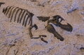Hračka WABA fun Dino Dig T-Rex sada s kinetickým pieskom, 6776