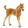 Hračka Schleich set žriebä a Quarter kôň so šteniatkom a príslušenstvom, 9303