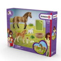 Hračka Schleich set žriebä a Quarter kôň so šteniatkom a príslušenstvom, 4283