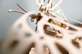 Hračka Ugears 3D mechanické puzzle - Butterfly 161 ks, 10709