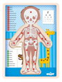 Hračka Woody Puzzle Ľudské telo Chlapec SK, 1758