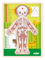 Hračka Woody Puzzle Ľudské telo Dievča SK, 1724