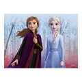 Hračka Dino Drevené kocky Frozen II 12 ks, 5