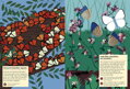 Chronicle Books Kniha aktivít so samolepkami my nature Motýle sveta, 4, hry pre deti
