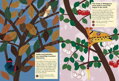 Chronicle Books Kniha aktivít so samolepkami my nature Motýle sveta, 5, hry pre deti