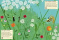 Chronicle Books Kniha aktivít so samolepkami my nature Motýle sveta, 1, hry pre deti