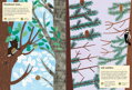 Hračka Chronicle Books Kniha aktivít so samolepkami my nature V lese, 6