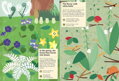 Chronicle Books Kniha aktivít so samolepkami my nature V lese, 3, hry pre deti