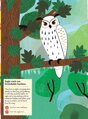 Chronicle Books Kniha aktivít so samolepkami my nature Vtáky sveta, 5, hry pre deti