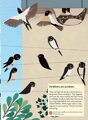 Chronicle Books Kniha aktivít so samolepkami my nature Vtáky sveta, 2, hry pre deti
