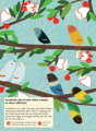 Chronicle Books Kniha aktivít so samolepkami my nature Vtáky sveta, 4, hry pre deti
