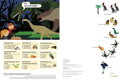 Chronicle Books Kniha aktivít so samolepkami V čase dinosaurov, 2, hry pre deti