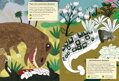 Chronicle Books Kniha aktivít so samolepkami V čase dinosaurov, 6, hry pre deti