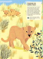Chronicle Books Kniha aktivít so samolepkami Zvieratá savany, 4, hry pre deti