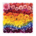 Hračka Galison Puzzle Dúhové kvety 500 dielikov, 2