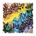 Galison Puzzle Dúhové motýle 500 dielikov, 2, hry pre deti