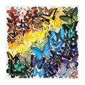 Hračka Galison Puzzle Dúhové motýle 500 dielikov, 2