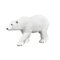 Mojo Ľadový medveď 387183, 1, hry pre deti