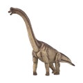 Hračka Mojo 387381 Brachiosaurus, 3047