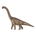 Mojo 387381 Brachiosaurus, 3044, hry pre deti