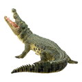 Mojo Krokodíl s kĺbovou čeľusťou, 2, hry pre deti