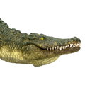 Mojo Krokodíl s kĺbovou čeľusťou, 3, hry pre deti