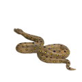 Hračka Mojo Anaconda, 2