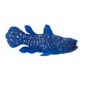 Mojo Coelacanth, 3, hry pre deti