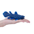 Mojo Coelacanth, 1, hry pre deti