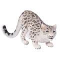Hračka Mojo Snežný leopard, 1