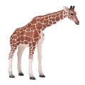 Mojo Žirafia samica, 4, hry pre deti