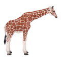 Mojo Žirafia samica, 1, hry pre deti