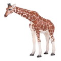 Mojo Žirafia samica, 2, hry pre deti