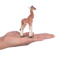 Mojo Žirafie mláďa, 1, hry pre deti
