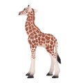 Mojo Žirafie mláďa, 5, hry pre deti